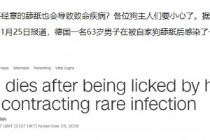 较真丨被宠物狗舔舐后狗主人感染丧命病菌逝世这到底是怎样一回事