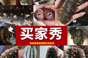 新年送礼美味佳肴海参少不了