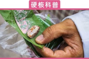 背面的千亿帝国是6000万中国人被反噬的人生