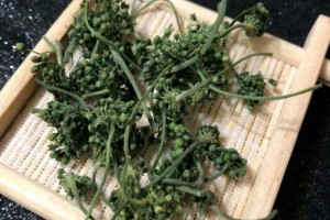 人参花同人参须哪个更好喜爱人参的必定要看