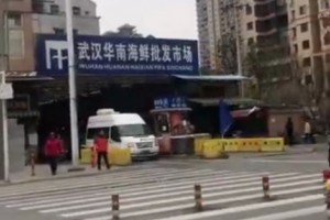 武汉发现病毒性肺炎病例实地看望华南海鲜商场大多数摊主正常经营