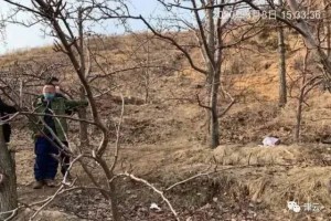 疫情之下的命案父亲弟媳街坊……辽宁男人为何痛下杀手