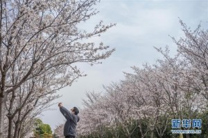 后疫情时期的生活态度