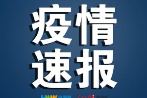 日本新增19例新冠肺炎确诊病例国内累计确诊超2000例