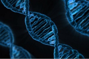 全球4.6亿糖友奔走相告美国糖尿病协会主席特蕾西糖尿病反转