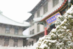 向死而生疫情下的稀有疑问重症诊治冬夜渐暖